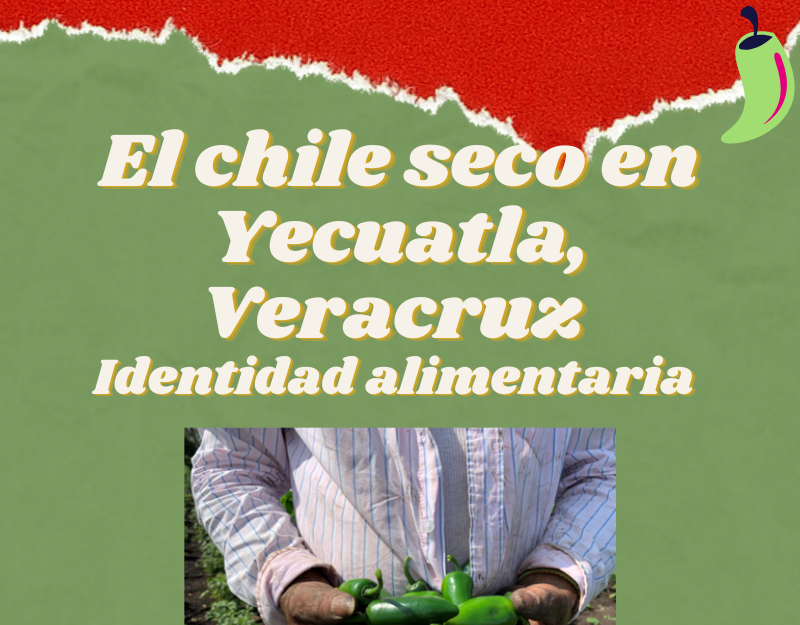 Infografías Ama